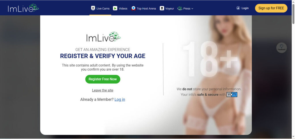 ImLive interactive cam site interface